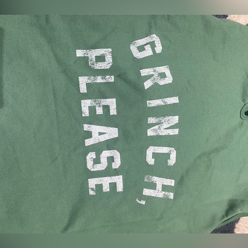 NWT GRAYSON PUP The Label Dog green hoodie size L - Picture 3 of 7